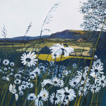 Libby Edmondson - White Daisy