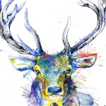 Sarah Taylor - Stag