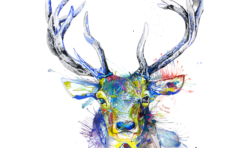 Sarah Taylor - Stag