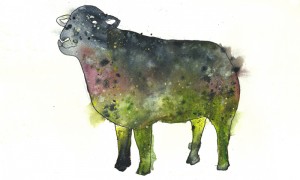 BF Proposal 3 Aurora Herdwick