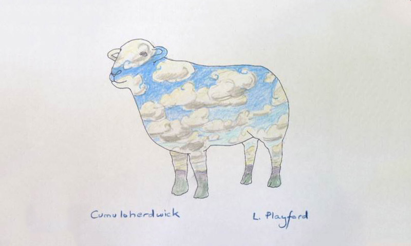 Cumuloherdwick