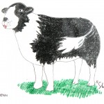 David Penn Sheepdog