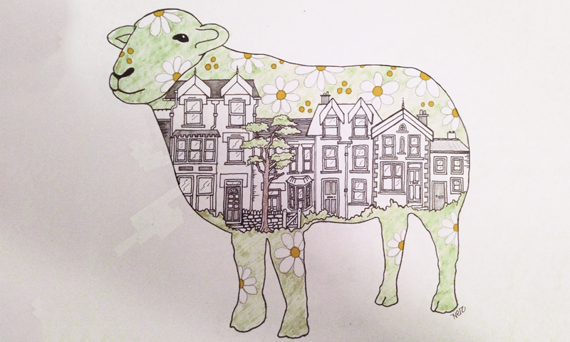 flowery house sheep