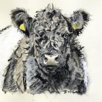 cow