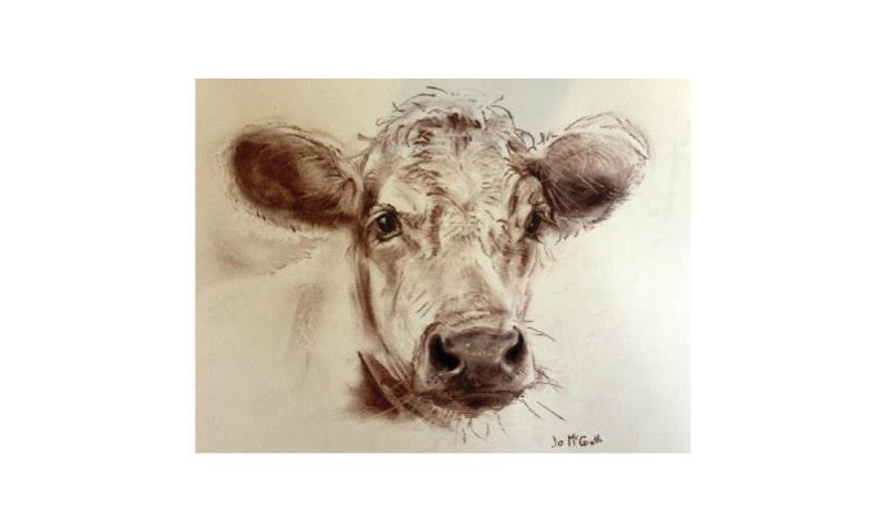 cow