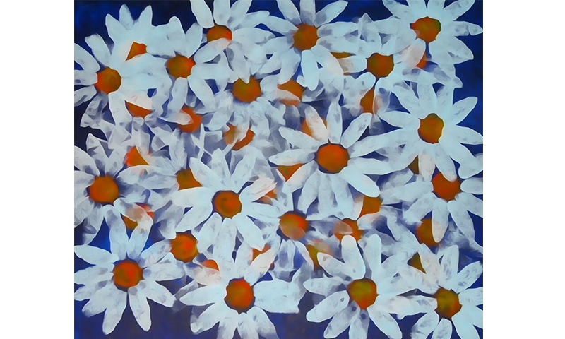 daisies blue