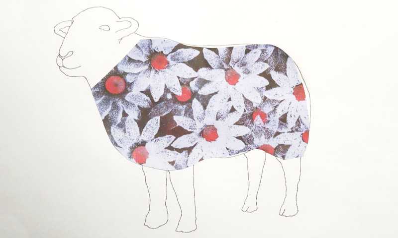 daisy sheep