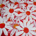 red and white daisies