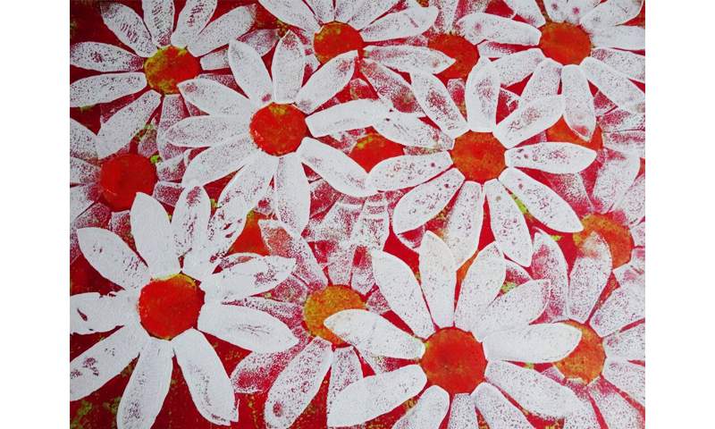 red and white daisies
