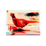 red pheasant