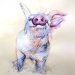 jayne lancaster pig