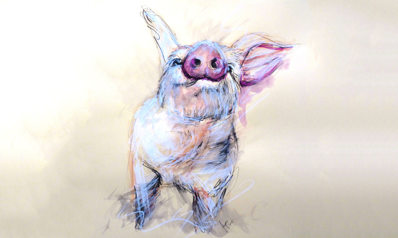 jayne lancaster pig