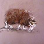 Herdwick small