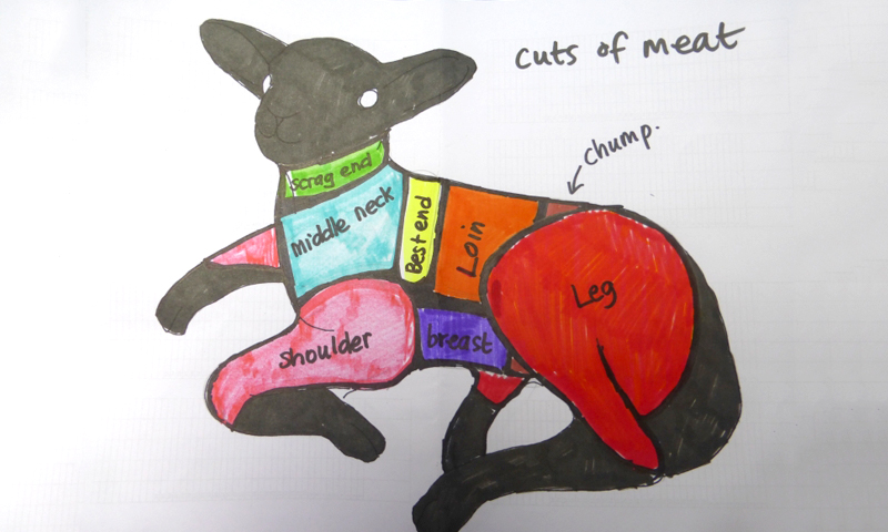 cuts of meat