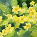 primroses