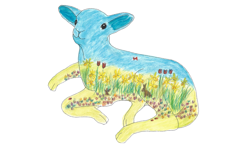 spring lamb