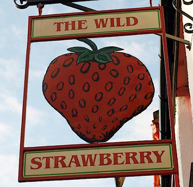 Wild-strawberry382